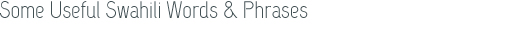 Kili-konka | Tips - Some Useful Swahili Words & Phrases
